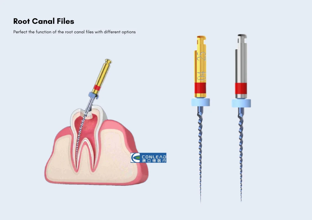 High Quality Root Canal Endo Files Dental Products Supplies